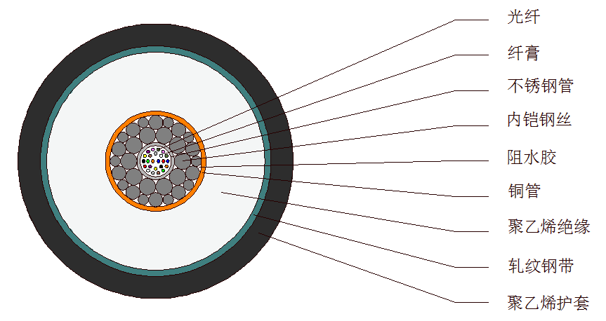 光纤截面图横截面图片